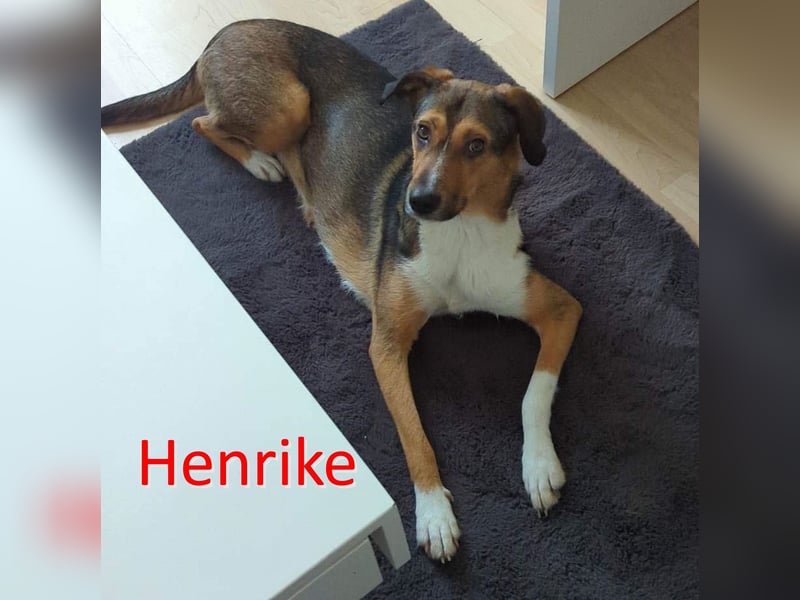 HENRIKE ❤ (wird mittlerweile „Awa“ genannt)  wartet in 90478 Nürnberg auf Dich