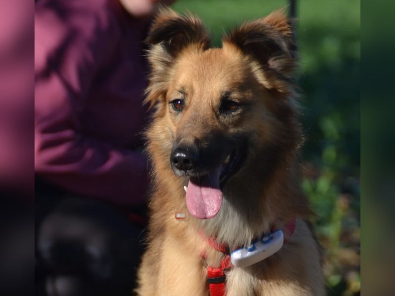 wunderschöne Dani möchte endlich ankommen....