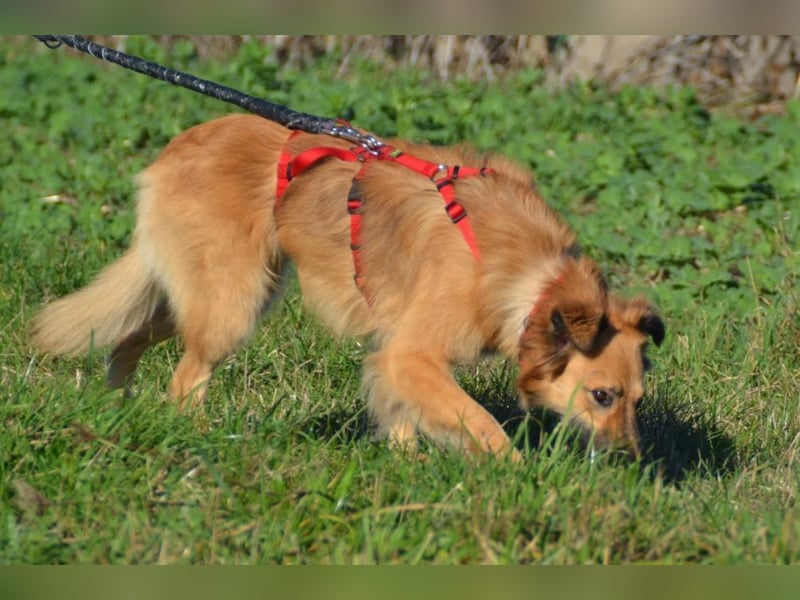 wunderschöne Dani möchte endlich ankommen....