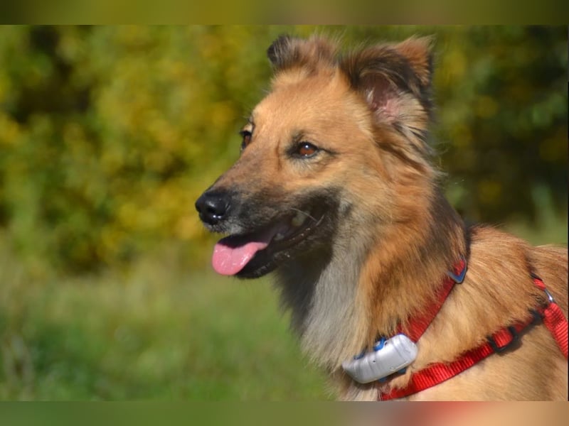 wunderschöne Dani möchte endlich ankommen....