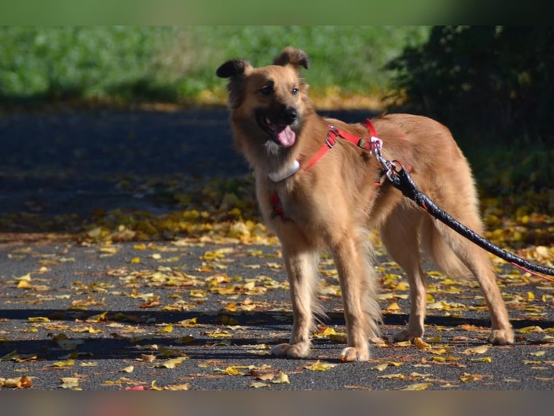 wunderschöne Dani möchte endlich ankommen....