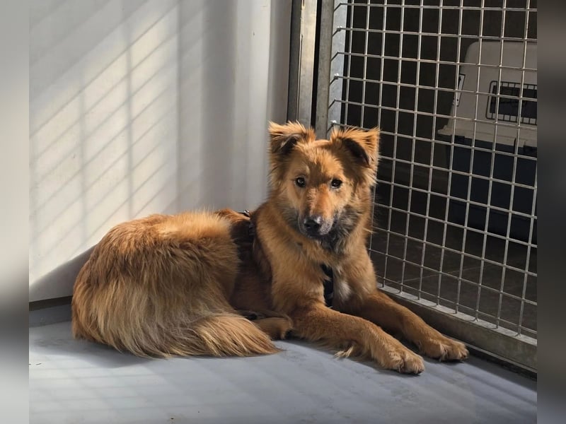 wunderschöne Dani möchte endlich ankommen....