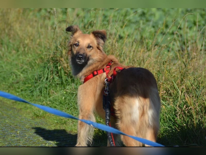 wunderschöne Dani möchte endlich ankommen....