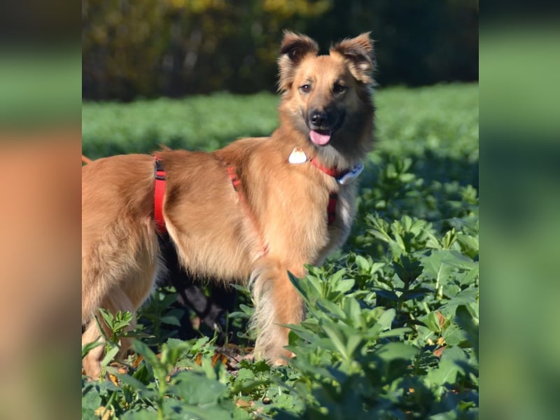 wunderschöne Dani möchte endlich ankommen....