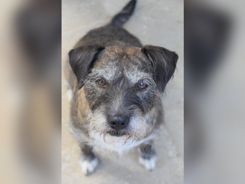 Miss Sophie - freundliche, liebenswerte, bezaubernde Seniorin
