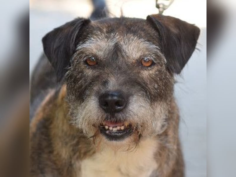 Miss Sophie - freundliche, liebenswerte, bezaubernde Seniorin