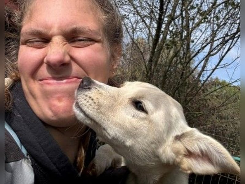 Leni - mutiges junges Hundemädchen