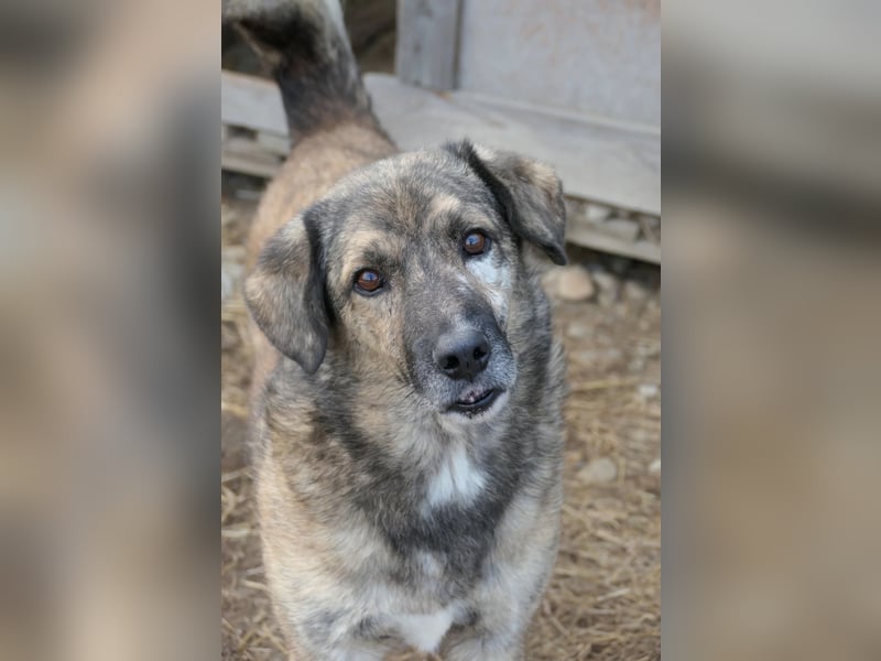Beghei, der liebe Schatz wartet schon so lange endlich gesehen zu werden