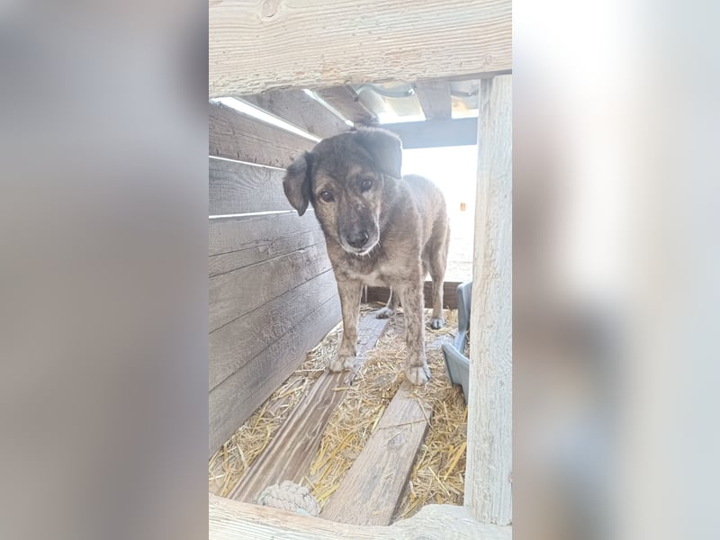 Beghei, der liebe Schatz wartet schon so lange endlich gesehen zu werden