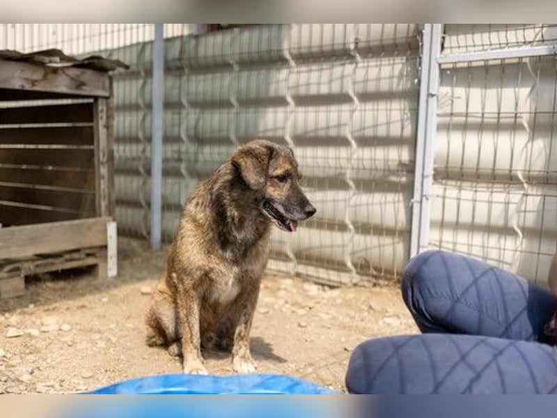 Beghei, der liebe Schatz wartet schon so lange endlich gesehen zu werden