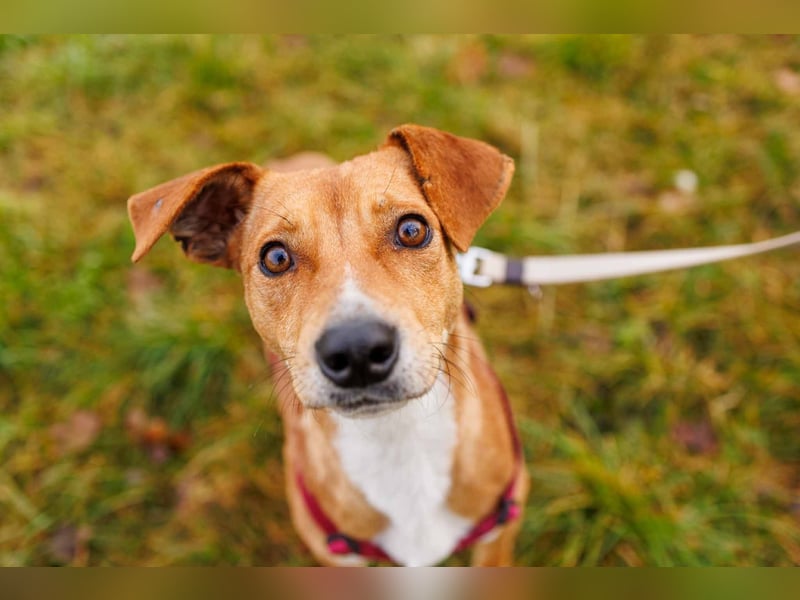 NELLY - Kämpferin mit großem Herzen & viel Lebensfreude