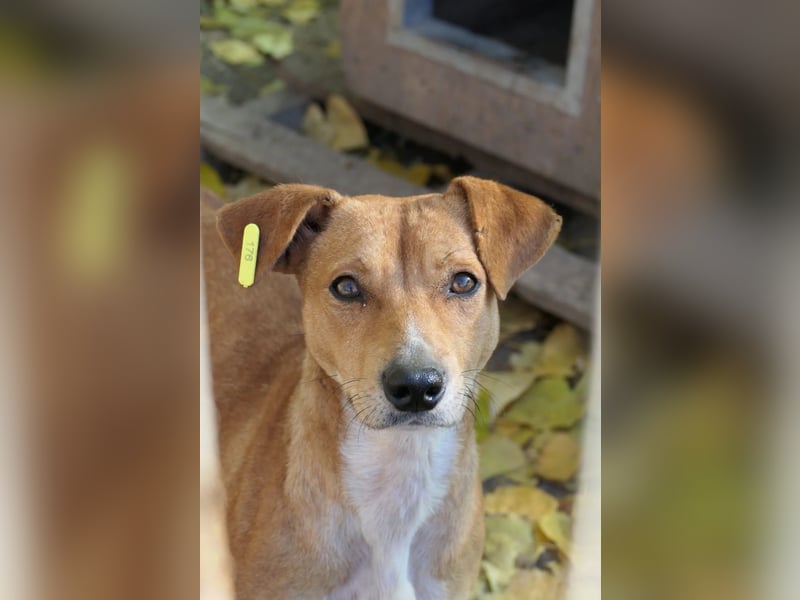 NELLY - Kämpferin mit großem Herzen & viel Lebensfreude