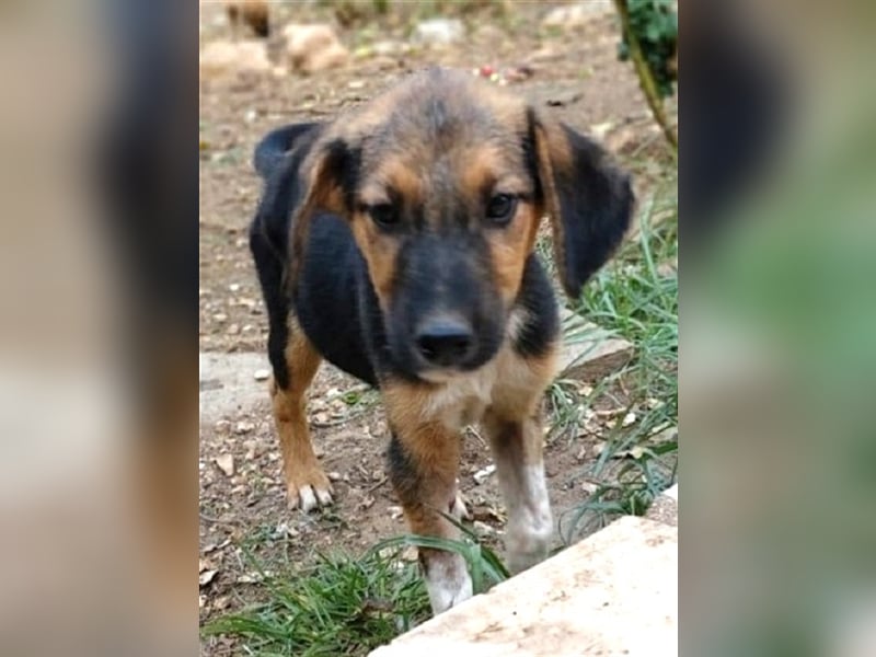 Gass - ausgesetzt zwischen Bahnlinie und Straße.