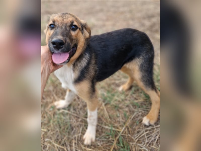 Gass - ausgesetzt zwischen Bahnlinie und Straße.