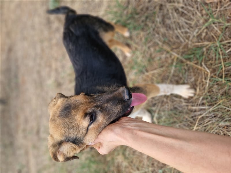 Gass - ausgesetzt zwischen Bahnlinie und Straße.