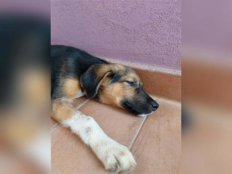 Gass - ausgesetzt zwischen Bahnlinie und Straße.