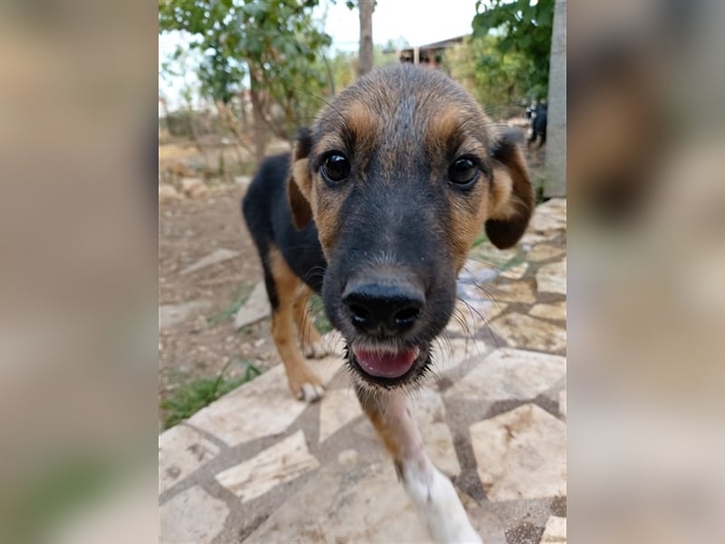 Gass - ausgesetzt zwischen Bahnlinie und Straße.
