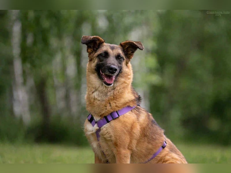 Tolle Malta sucht warmes Körbchen