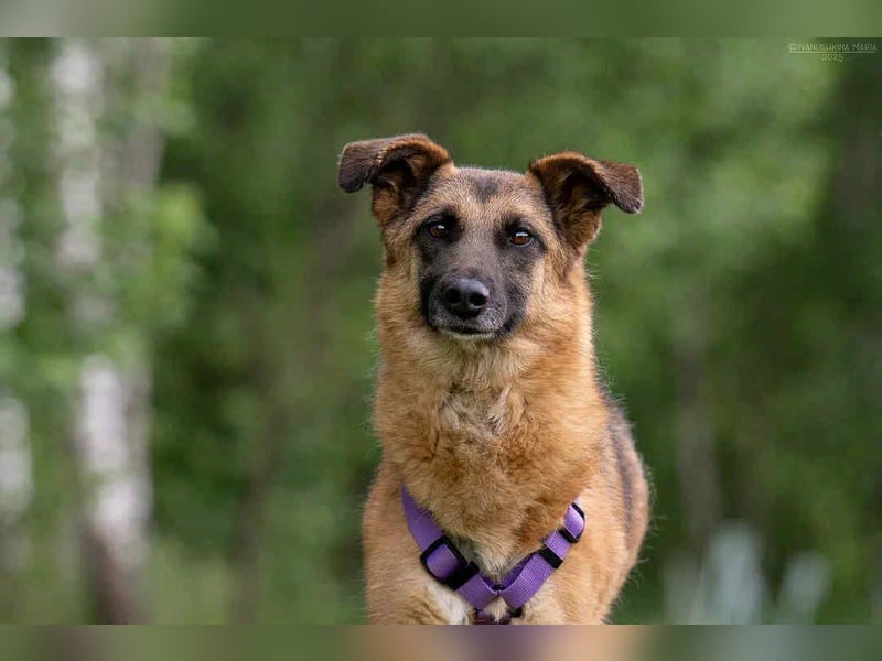 Tolle Malta sucht warmes Körbchen