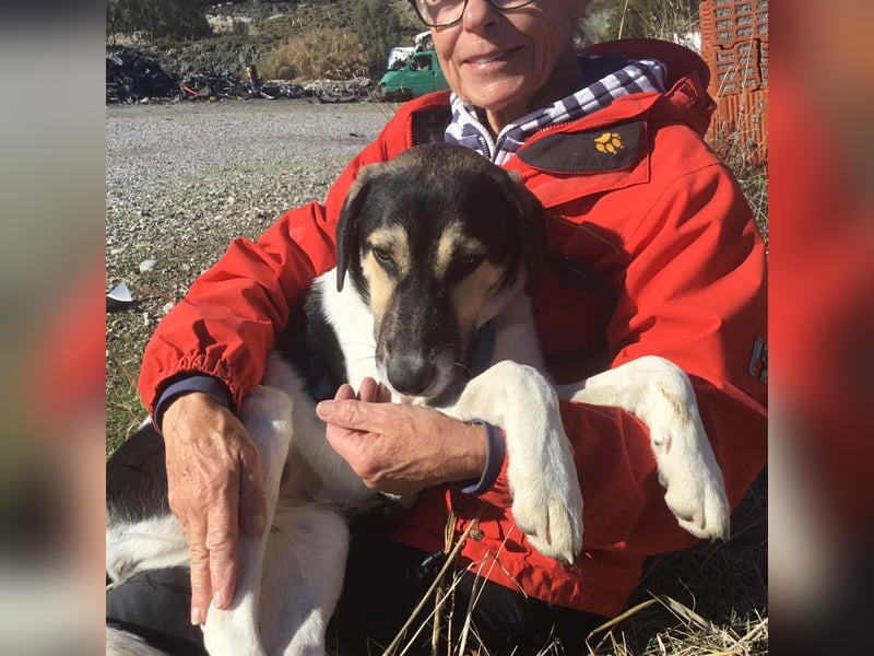 Belle, sie möchte ihre Familie für immer finden