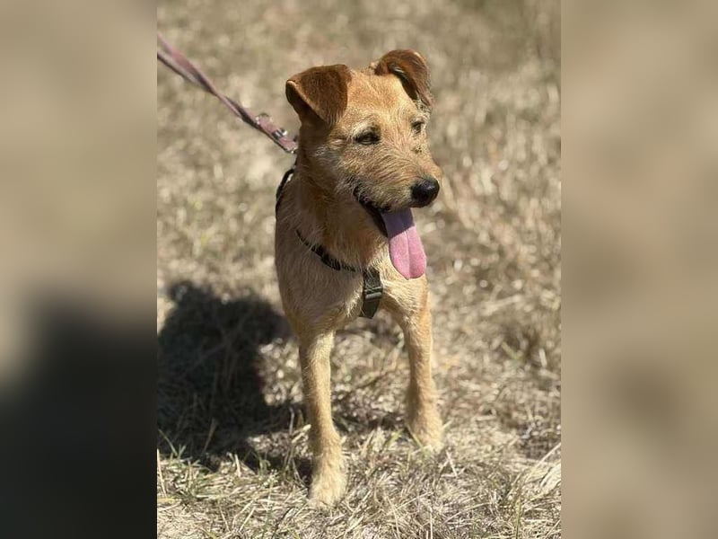 Robin unser kleiner Jäger