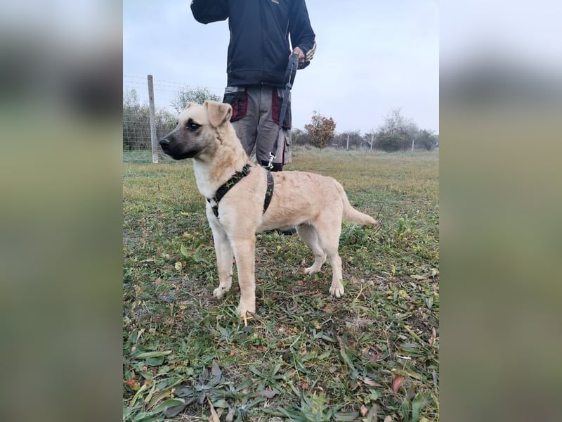 Zabu wartet genau auf DIch