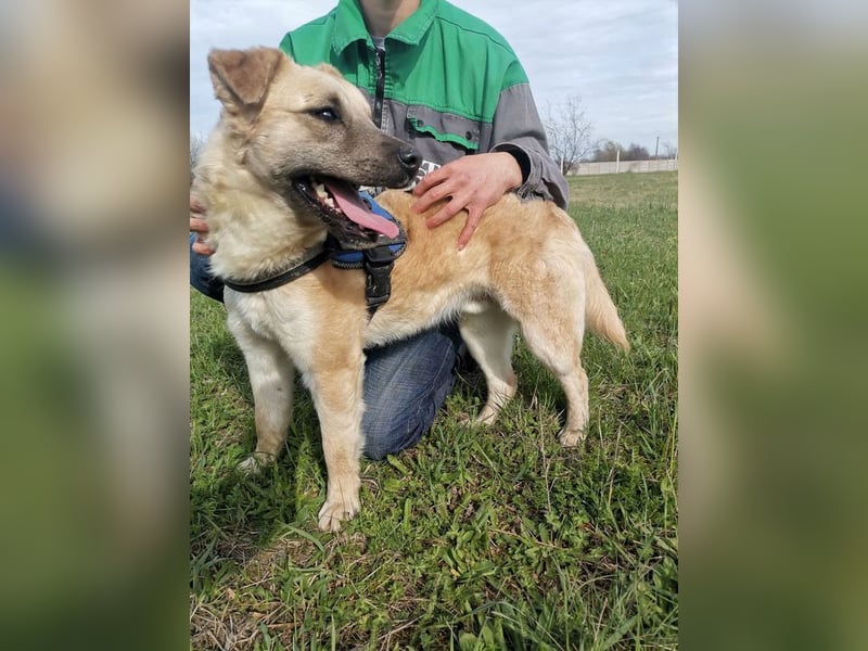 Zabu wartet genau auf DIch