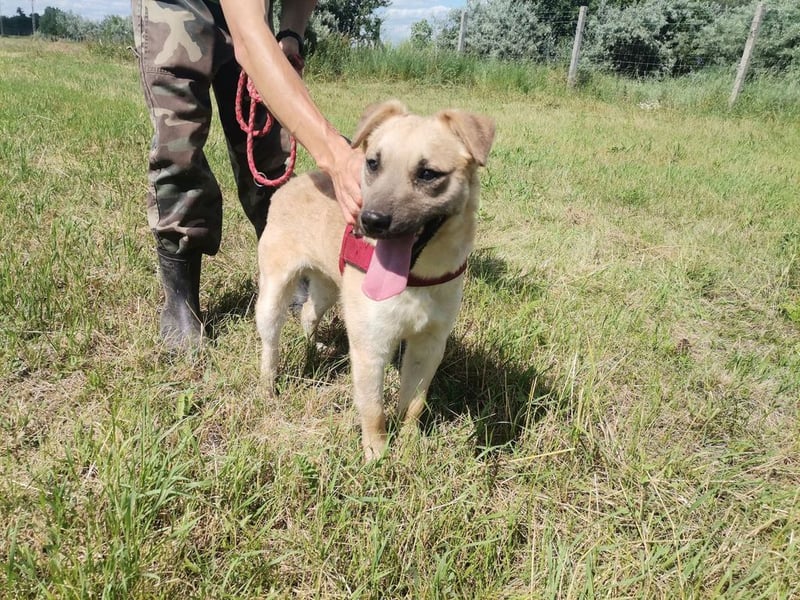 Zabu wartet genau auf DIch