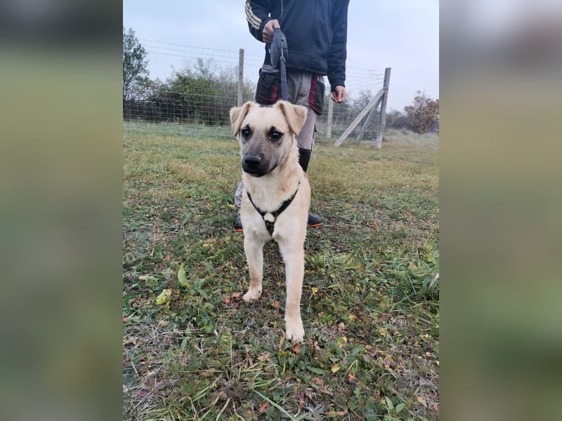 Zabu wartet genau auf DIch