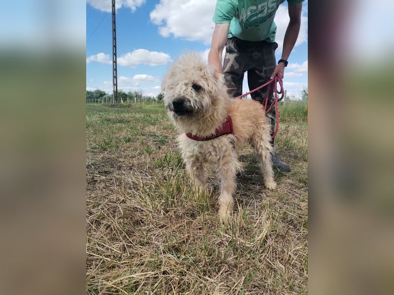 Ziggy wartet genau auf DIch