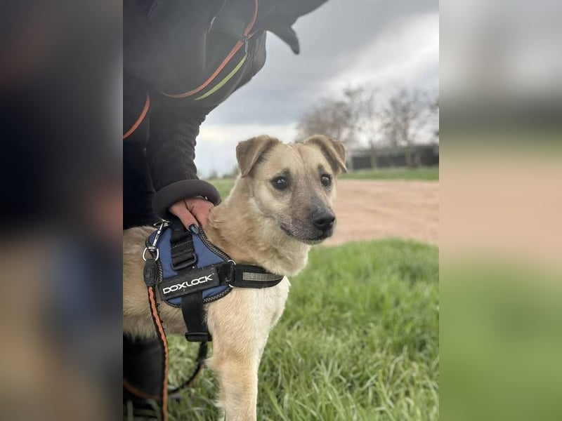 Zabu wartet genau auf DIch