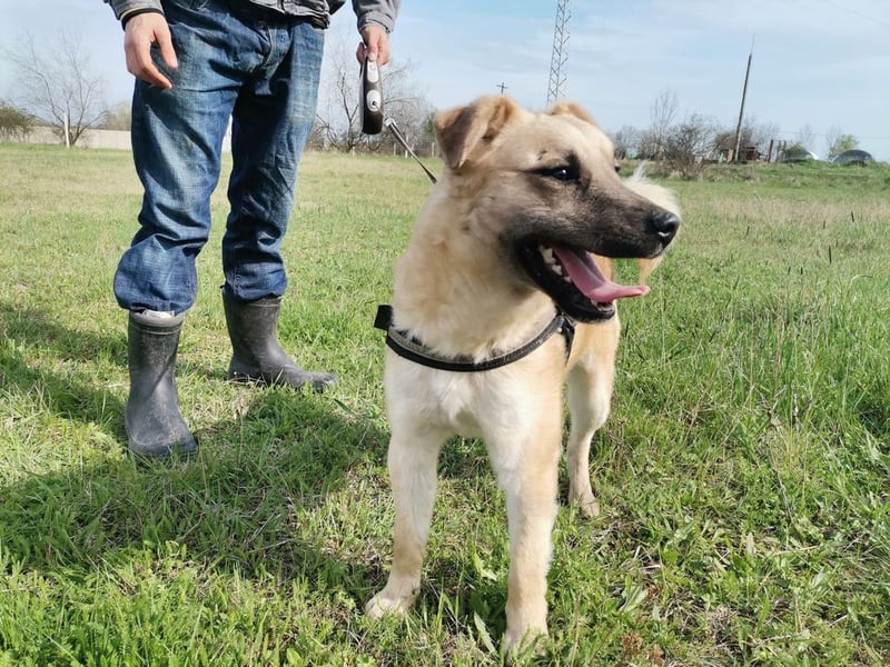Zabu wartet genau auf DIch