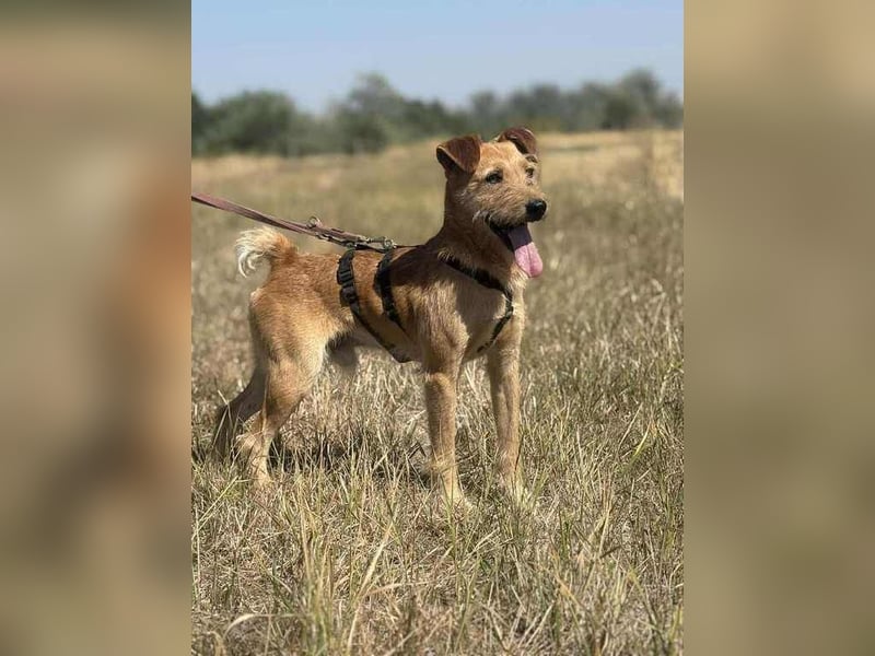 Robin unser kleiner Jäger