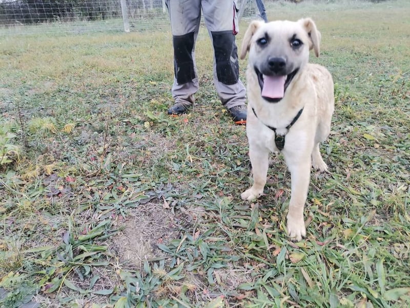 Zabu wartet genau auf DIch