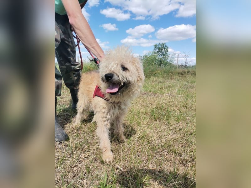 Ziggy wartet genau auf DIch