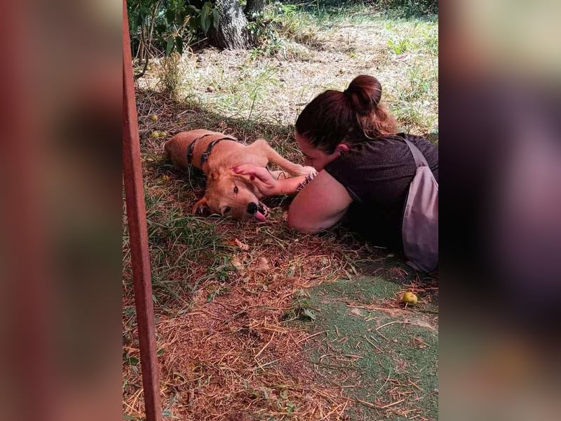 Robin unser kleiner Jäger