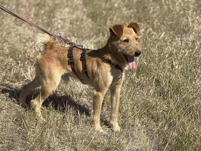 Robin unser kleiner Jäger