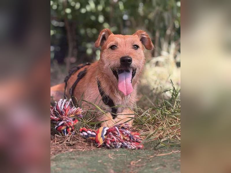 Robin unser kleiner Jäger