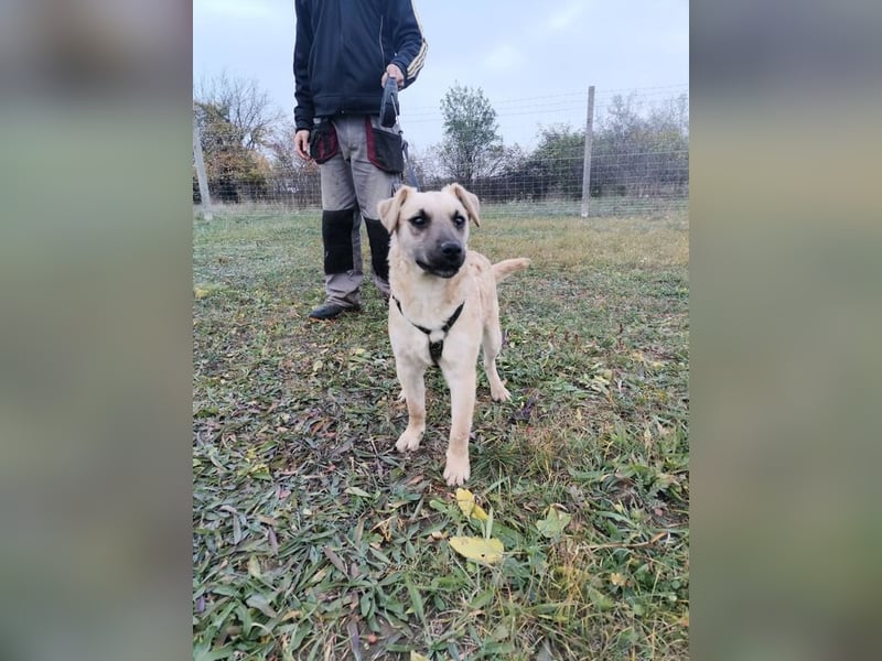 Zabu wartet genau auf DIch