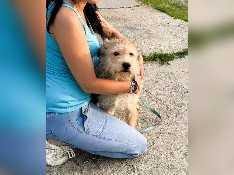 Ruckzuck verliebt in Strubbelmaus „ GIPSY “