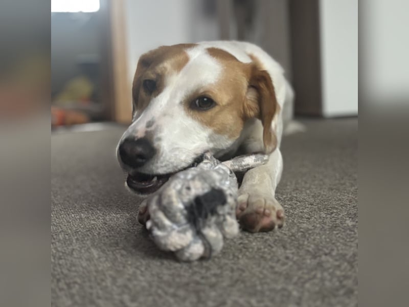 METTI SUCHT IHR TRAUMZUHAUSE