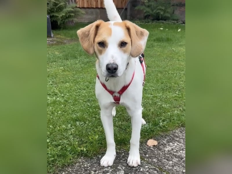 METTI SUCHT IHR TRAUMZUHAUSE