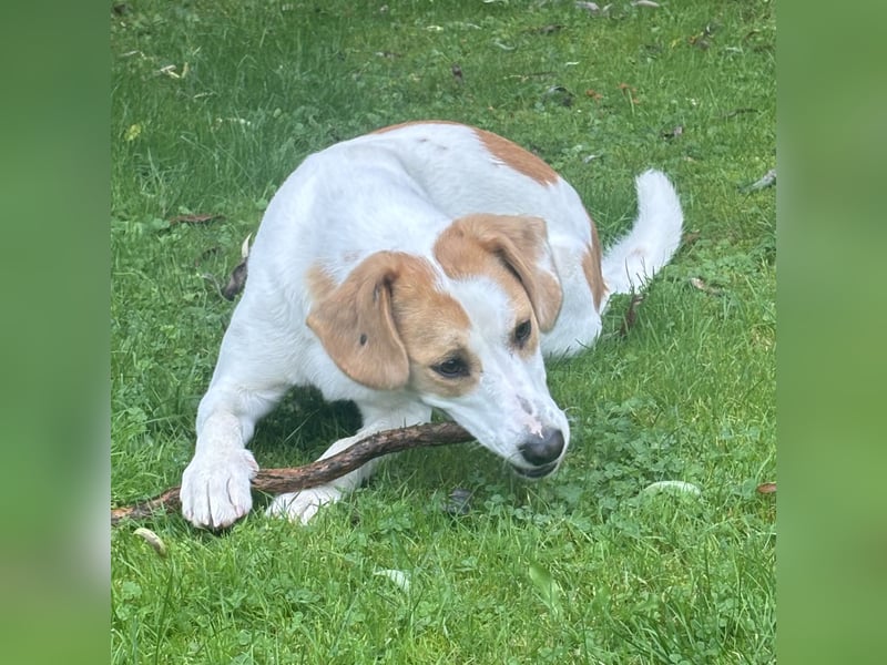 METTI SUCHT IHR TRAUMZUHAUSE