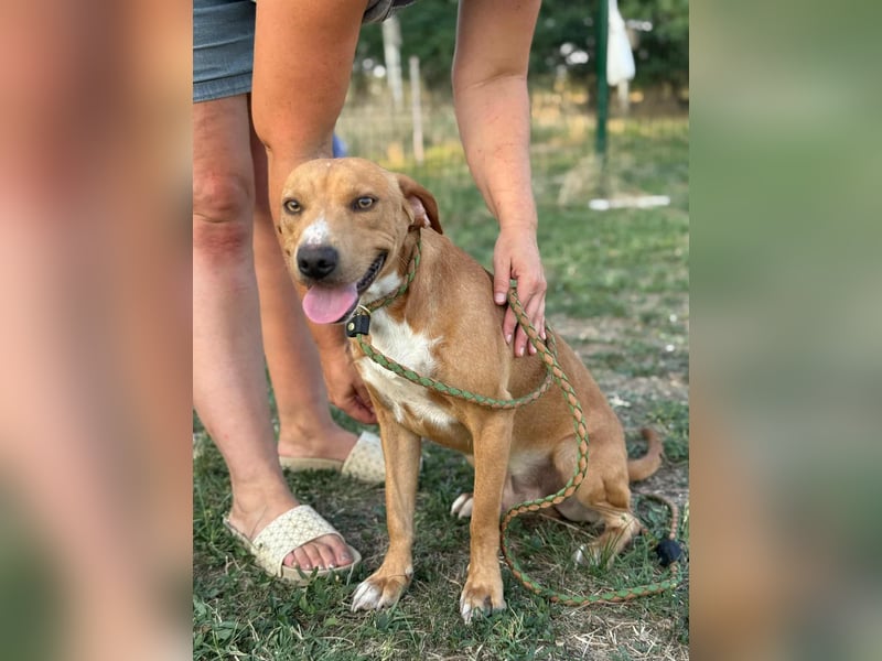 Raffael, geboren 31.10.2024, 48cm sucht seine Familie Raffael, geboren 31.10.2024, 48cm sucht seine Familie