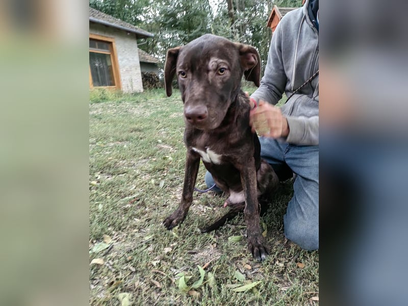 Philip, geboren 28.04.2025, 53cm sucht sein Zuhause