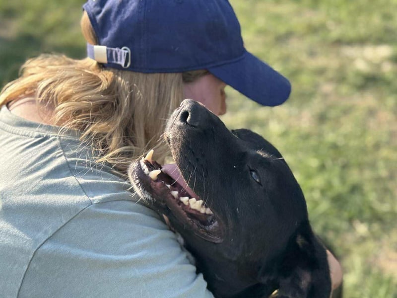 Kobold, geboren 01.09.2023, 52cm sucht sein Zuhause