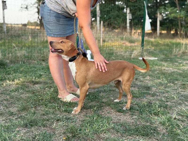 Raffael, geboren 31.10.2024, 48cm sucht seine Familie Raffael, geboren 31.10.2024, 48cm sucht seine Familie