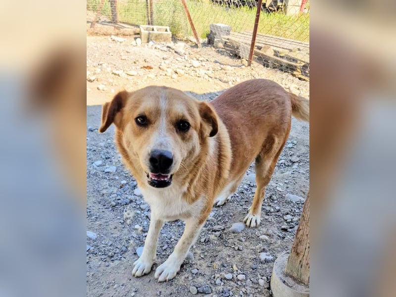 Stratos hatte noch nie ein Zuhause