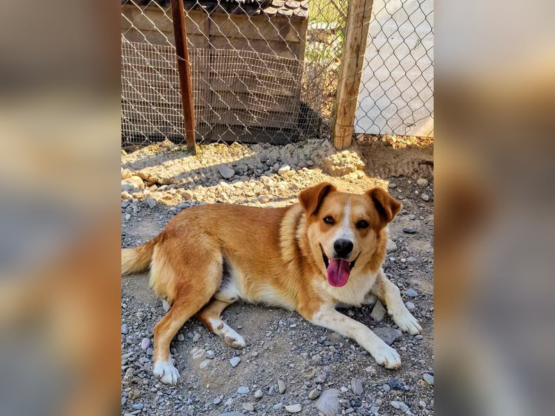 Stratos hatte noch nie ein Zuhause