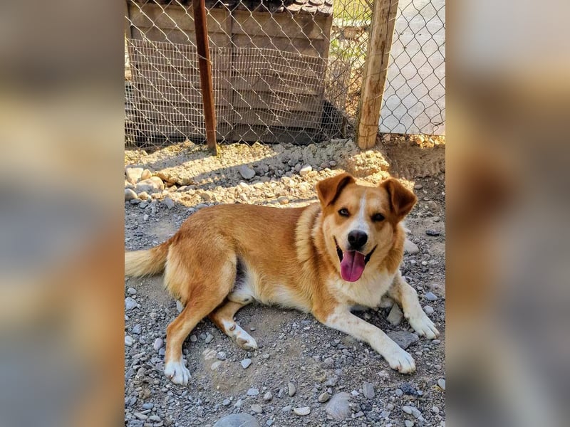 Stratos hatte noch nie ein Zuhause